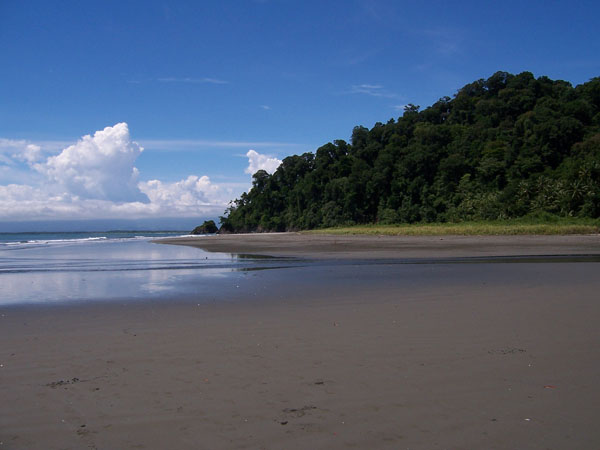 Osa Peninsula coast, Costa Rica