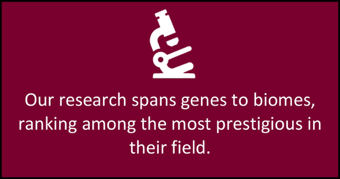 Our research spans genes to biomes, ranking among the most prestigious in their field