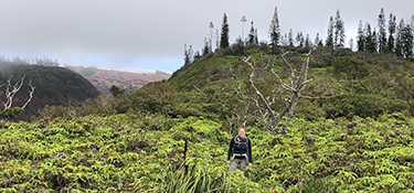 Rachel Sprague monitoring some of the Hawaiian petrel colony 