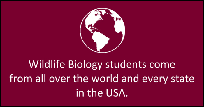 Wildlife Biology students come from all over the world and every state in the USA